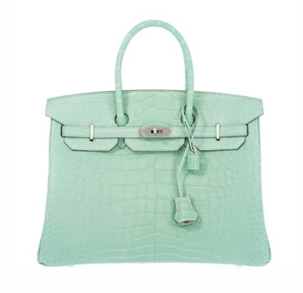 Hermès Birkin25 Vert d’Eau Matte Alligator&Palladium Hardware