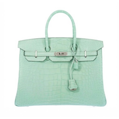Hermès Birkin25 Vert d’Eau Matte Alligator&Palladium Hardware