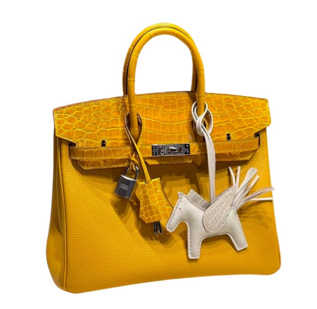 Hermès Birkin25 Jaune Ambre Shiny Alligator and Togo Touch&Palladium Hardware