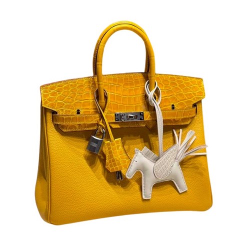 Hermès Birkin25 Jaune Ambre Shiny Alligator and Togo Touch&Palladium Hardware