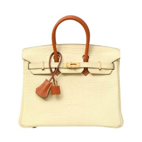 Hermès Birkin25 Vanilla Matte Alligator&Gold Hardware