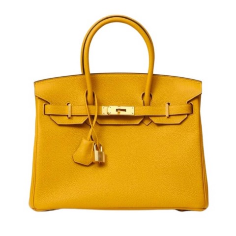 Hermès Birkin25 Jaune Ambre Togo&Gold Hardware