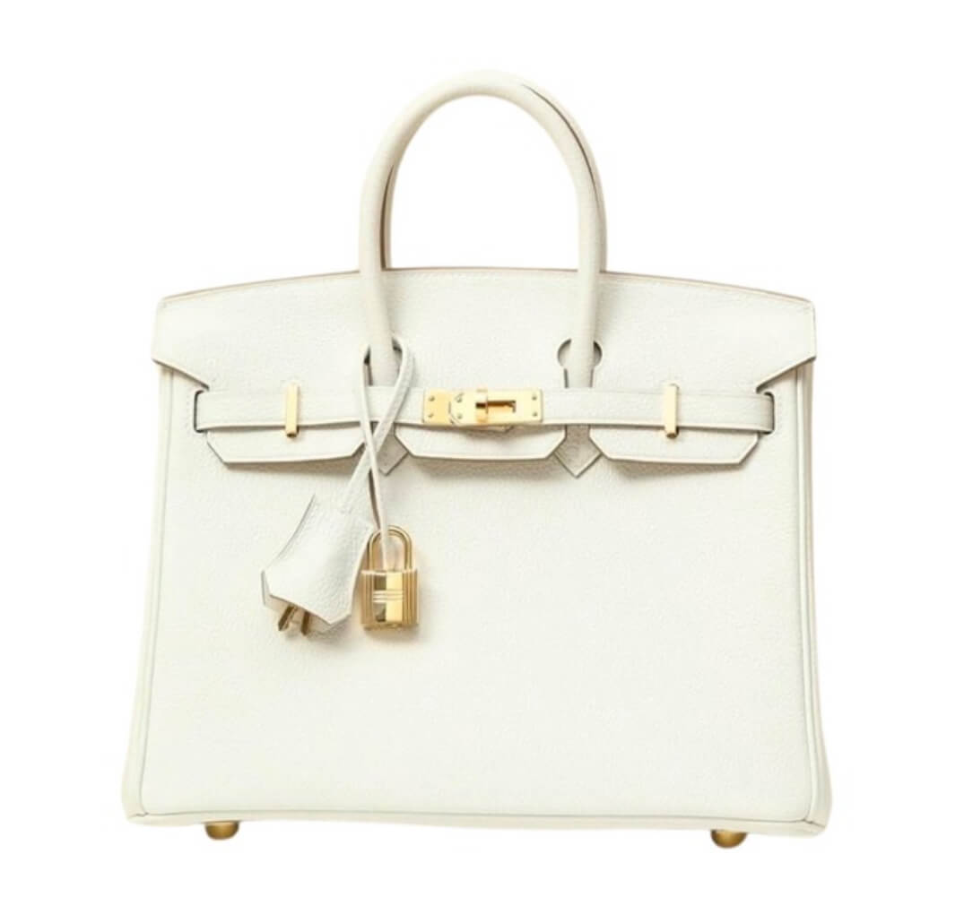 Hermès Birkin25 Mushroom Togo&Gold Hardware