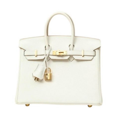 Hermès Birkin25 Mushroom Togo&Gold Hardware