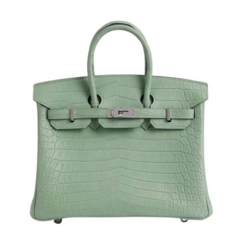 Hermès Birkin25 Vert d’Eau Matte Niloticus Crocodile&Palladium Hardware