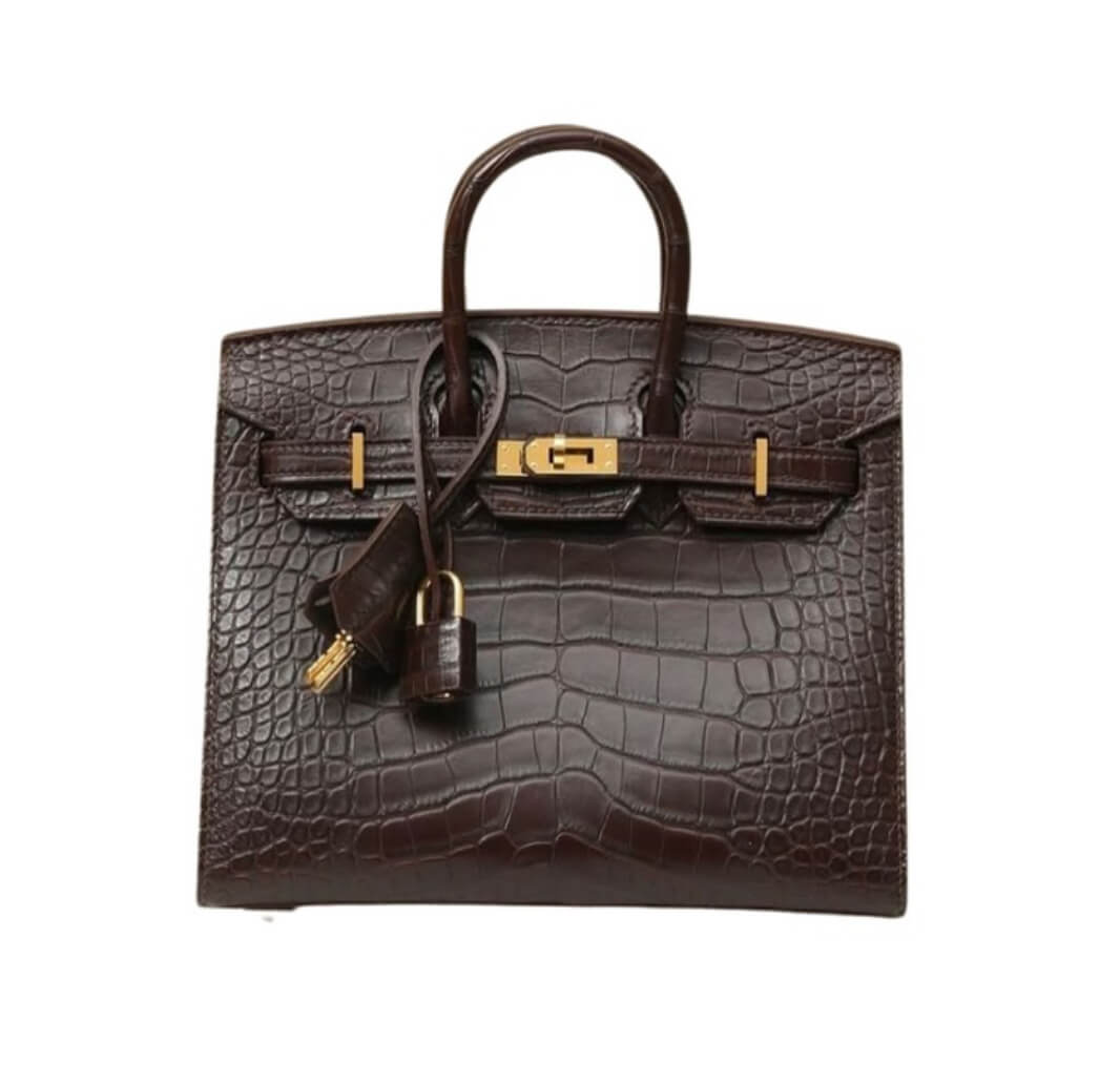 Hermès Birkin20 Silver Ebene Matte Crocodile&Gold Hardware