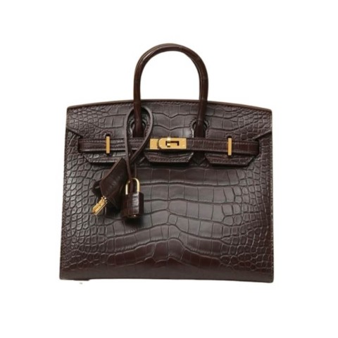Hermès Birkin20 Silver Ebene Matte Crocodile&Gold Hardware