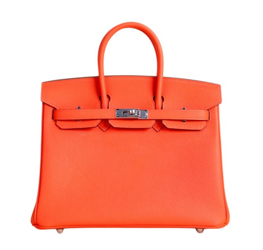 Hermès Birkin25 Capucine Togo&Palladium hardware