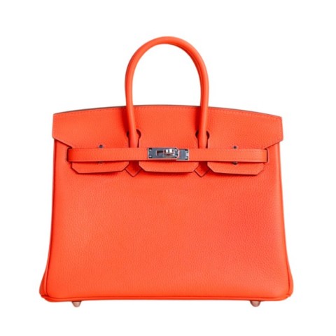 Hermès Birkin25 Capucine Togo&Palladium hardware