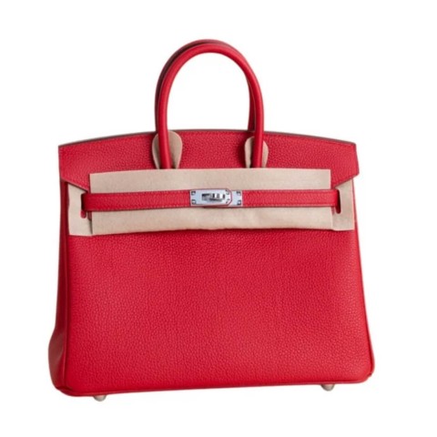 Hermès Birkin25 Rouge Casaque Togo&Palladium Hardware