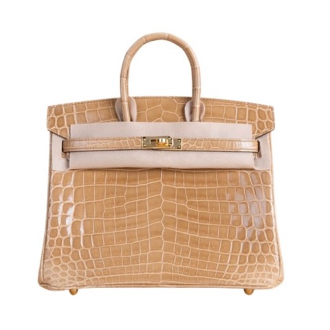 Hermès Birkin25 Beige Sable Shiny Niloticus Crocodile&Gold Hardware