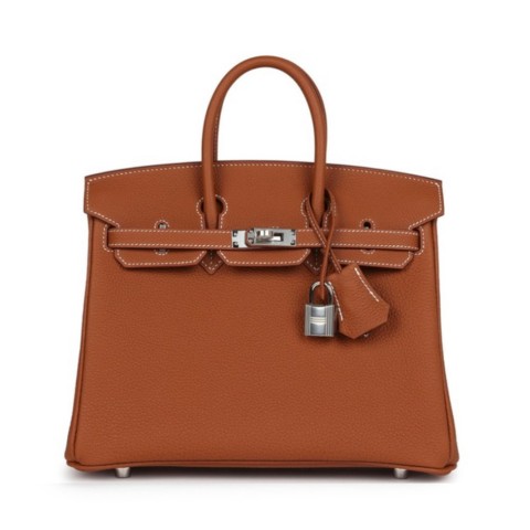Hermès Birkin25 Gold Togo Palladium Hardware